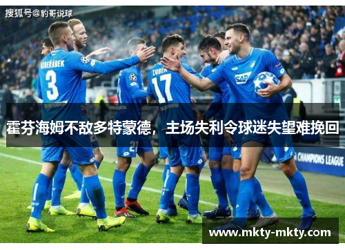 霍芬海姆不敌多特蒙德，主场失利令球迷失望难挽回